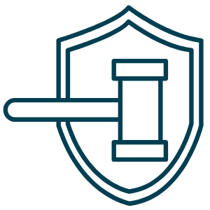 Defamation and Reputation Protection